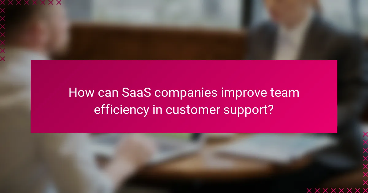 How can SaaS companies improve team efficiency in customer support?