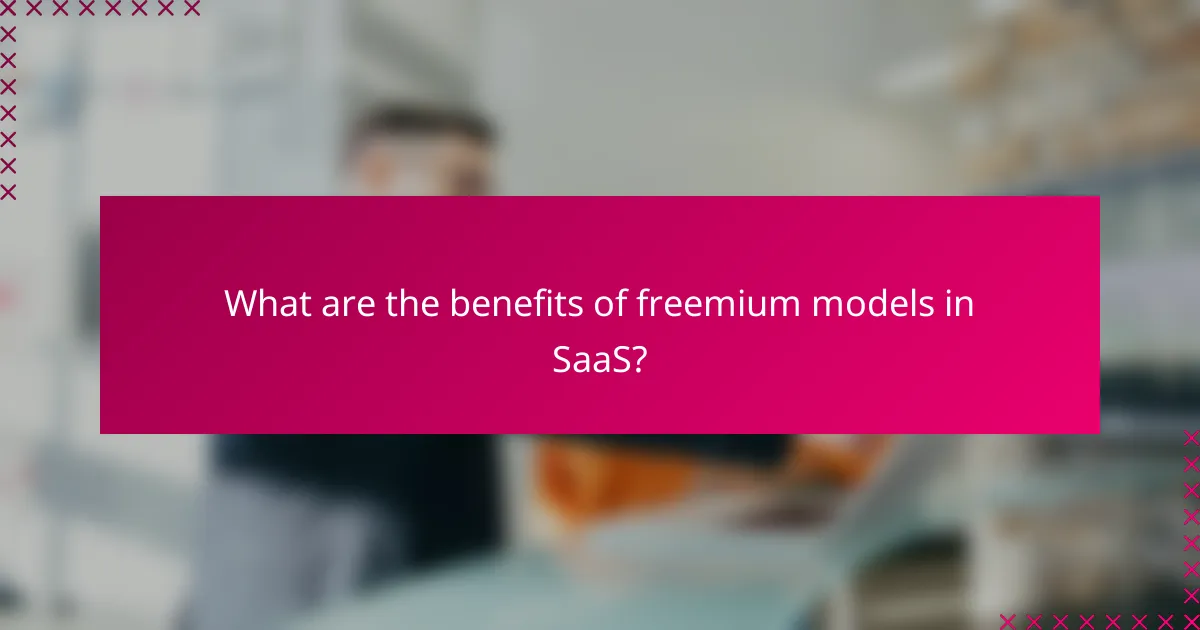 What are the benefits of freemium models in SaaS?