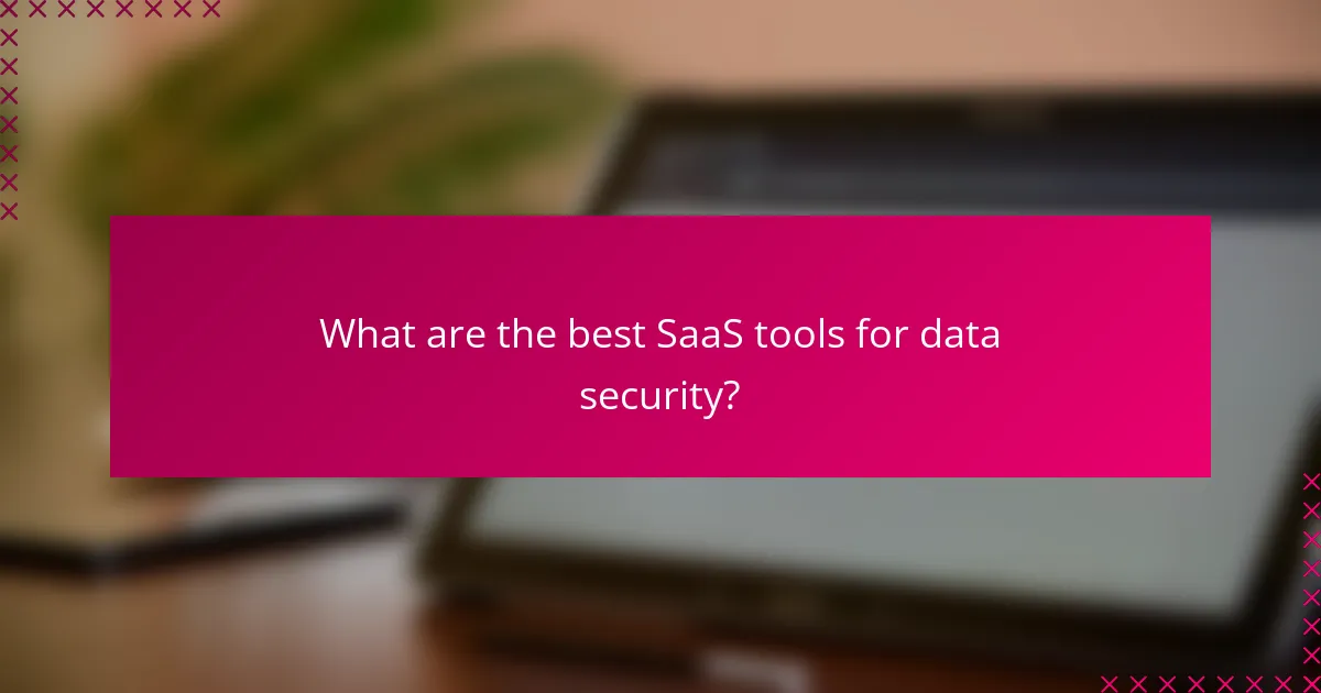 What are the best SaaS tools for data security?