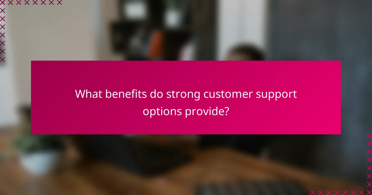 What benefits do strong customer support options provide?