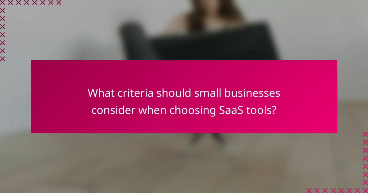 What criteria should small businesses consider when choosing SaaS tools?
