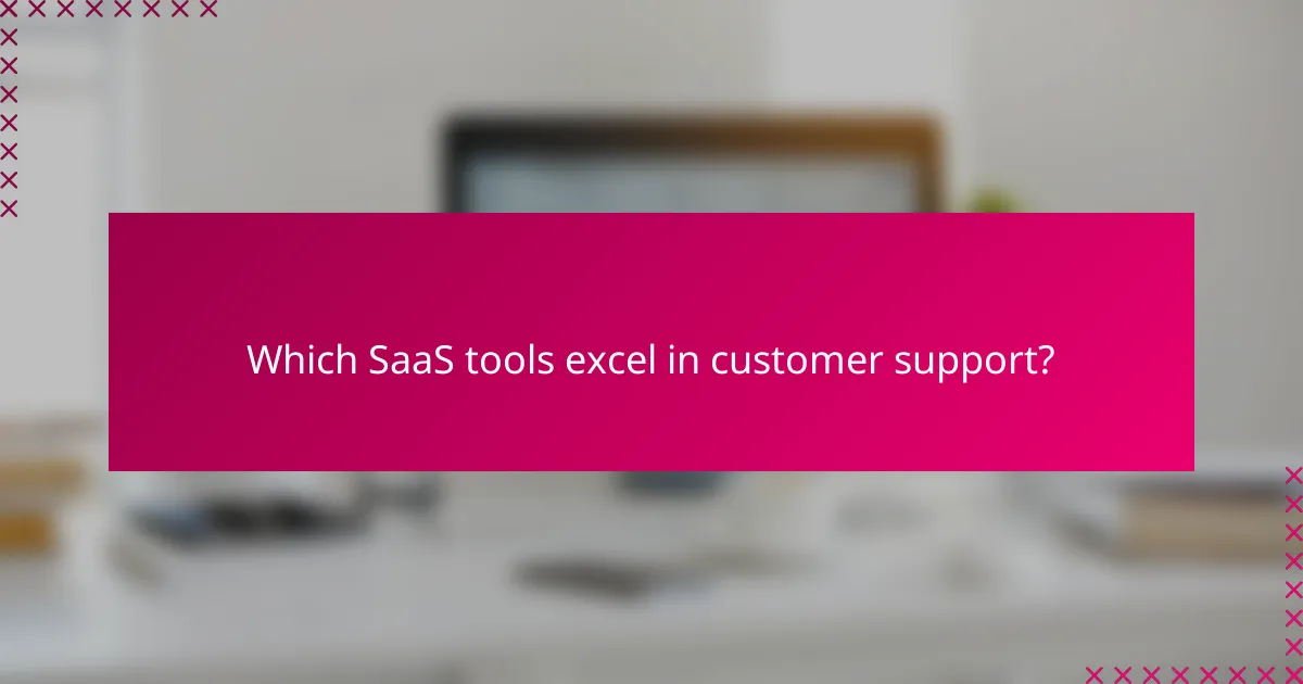 Which SaaS tools excel in customer support?